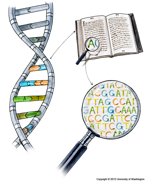 DNA Sequencing