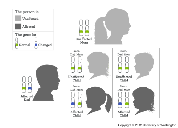 Autosomal Dominant Inheritance