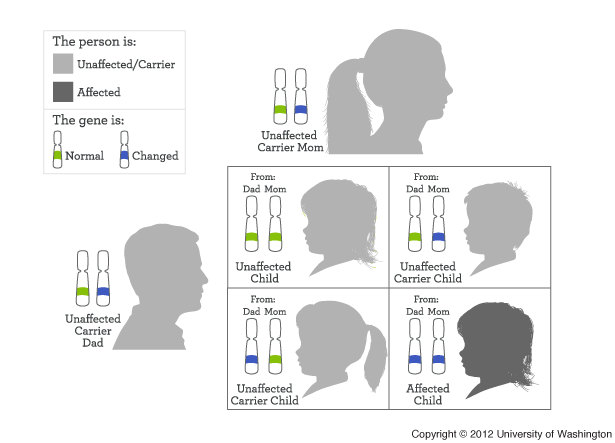 Autosomal Recessive Inheritance